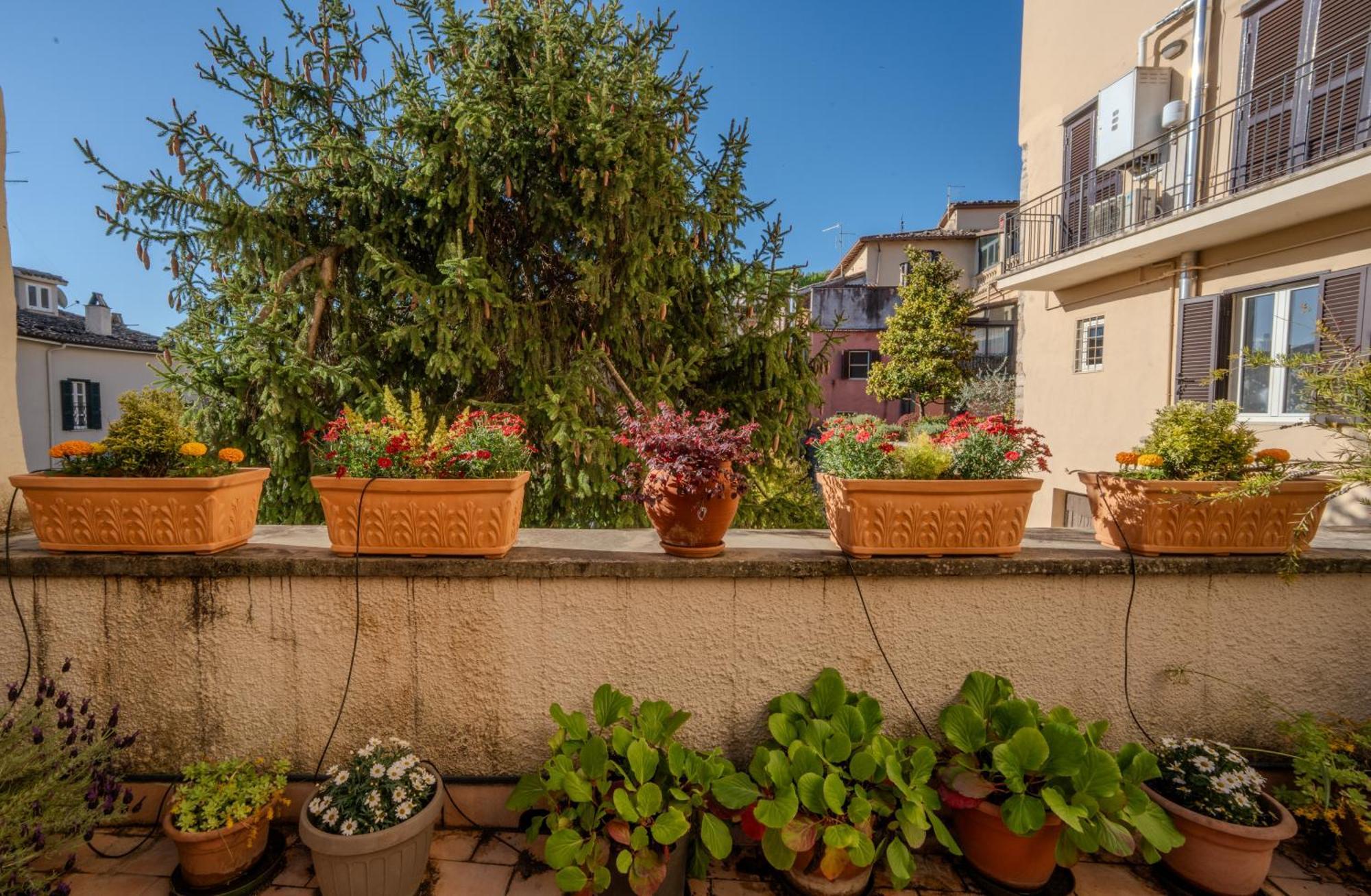"Le Caraffe" Alatri - Alloggio Per Uso Turistico Exteriör bild